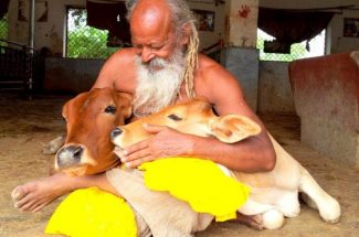 Thumbnail for the post titled: श्रीदेवराहा कृष्ण शरणम परावाणी गायन 18