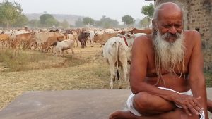 Thumbnail for the post titled: GAUDHULIBELA DERSHAN