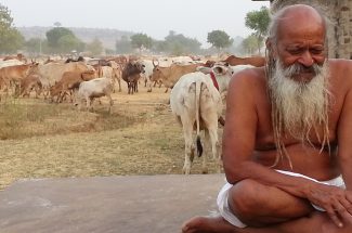 Thumbnail for the post titled: श्रीदेवराहा कृष्ण शरणम परावाणी गायन 14