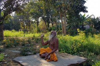 Thumbnail for the post titled: श्री देवराहा कृष्ण शरणम परावाणी गायन 42