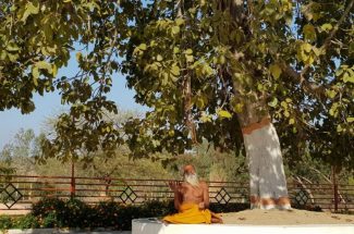 Thumbnail for the post titled: श्री देवराहा कृष्ण शरणम परावाणी गायन 41