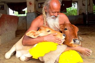 Thumbnail for the post titled: NAVDHA BHAKTI