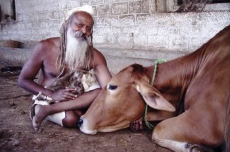 Thumbnail for the post titled: श्रीदेवराहा कृष्ण शरणम परावाणी गायन 8